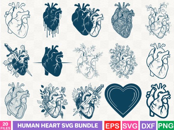 Human Heart SVG Bundle
